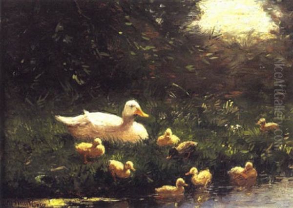 Ducks By A River - view 1