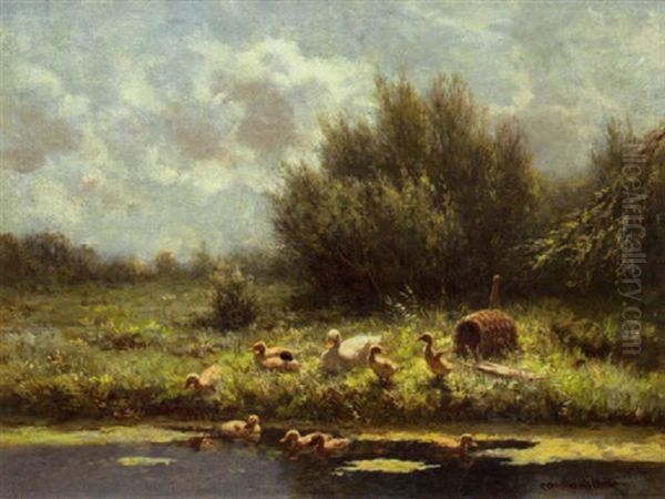 Ducks And Ducklings Along The Waterside - view 1