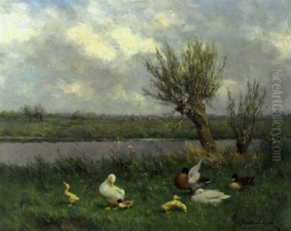 Ducks By The Waterside - view 1