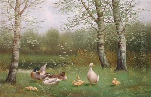 Ganse Und Enten In Hohem Gras Zwischen Birken - view 1