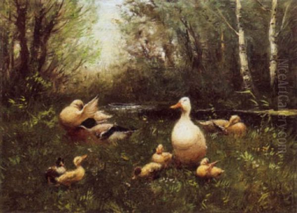 Ducks - view 1