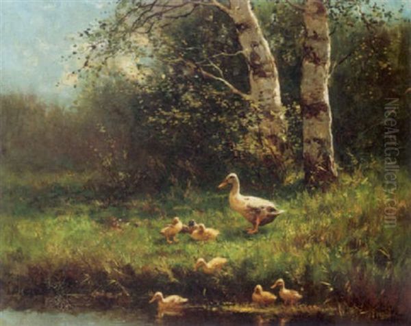 A Duck With Ducklings On A Riverbank - view 1