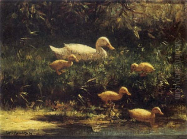 Mother Duck With Her Ducklings - view 1