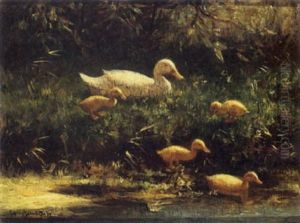 Mother Duck With Her Ducklings Mother Duck With Her Ducklings
