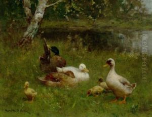 Ducks And Ducklings On A Sunlit Riverbank