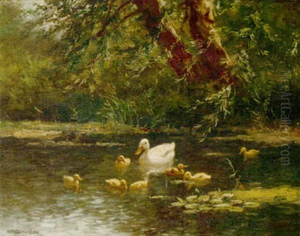 A Duck And Ducklings In A Sunlit Brook - view 1