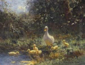 Ducks On The Riverbank Ducks On The Riverbank