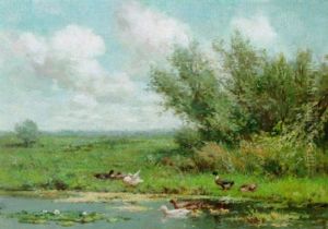 Ducks And Ducklings On A Riverbank