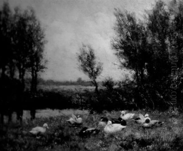 Ducks Nesting By A Pond - view 1