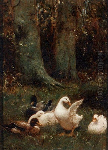 Ducks In The Grass - view 1