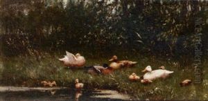 Ducks With Ducklings On A Riverbank
