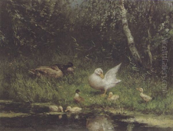 Enten Am Rand Eines Teiches - view 1