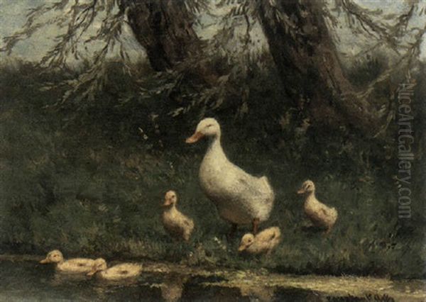 Duck With Her Ducklings - view 1