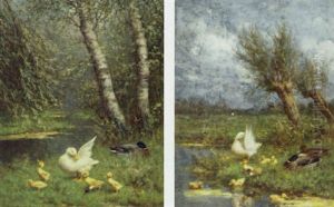 Ducks And Ducklings On River Banks