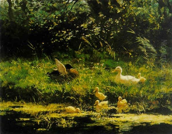 Ducks With Ducklings By A Pond - view 1