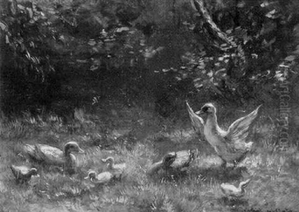 Commotion In Duck Family - view 1