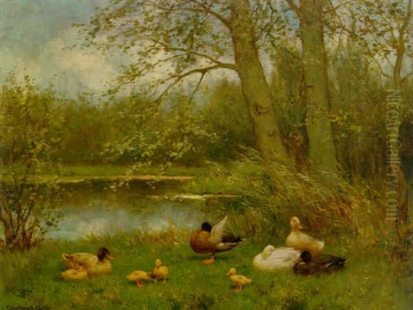 A Duck Family - view 1