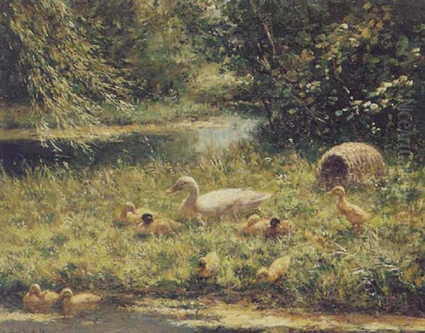 A Duck With Ducklings On A Riverbank - view 1