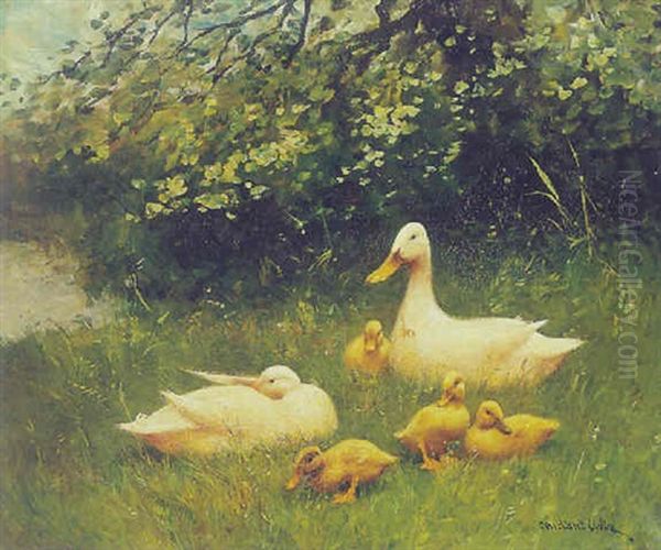 Ducks With Ducklings In The Grass - view 1