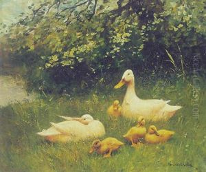 Ducks With Ducklings In The Grass
