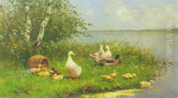 Ducks And Ducklings On A Sunlit Riverbank - view 1