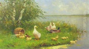 Ducks And Ducklings On A Sunlit Riverbank