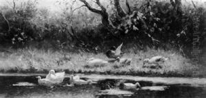 Duck With Ducklings On A Riverbank