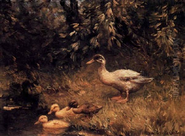 A Duck With Ducklings In The Grass - view 1