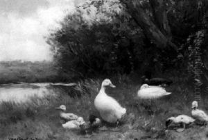 A Duck With Ducklings On The Waterfront