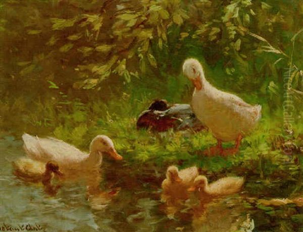 Ducks And Ducklings On A Riverbank - view 1