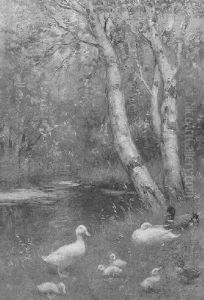 Ducks And Ducklings On A Riverbank