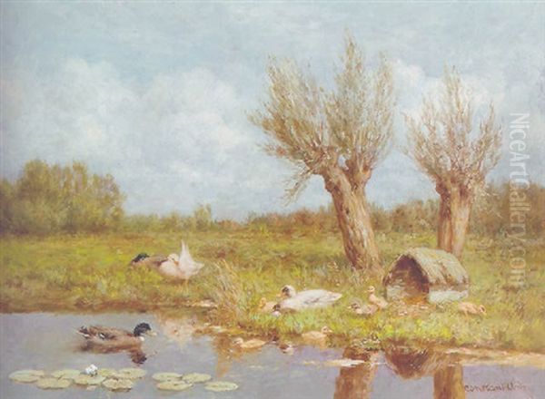 Ducks And Ducklings On A Riverbank In Summer - view 1