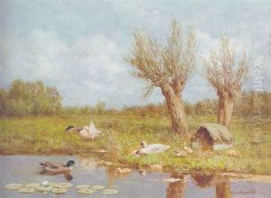 Ducks And Ducklings On A Riverbank In Summer