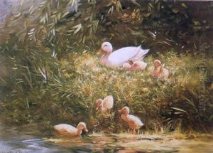 Duck And Ducklings On A River Bank