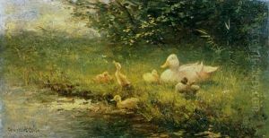 A Duck With Her Ducklings