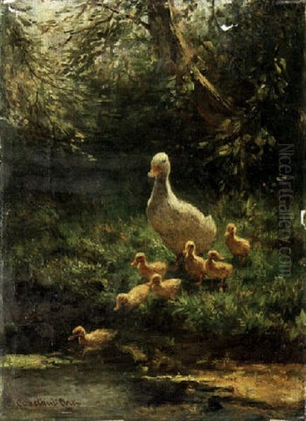 A Duck With Her Ducklings Crossing The Stream - view 1