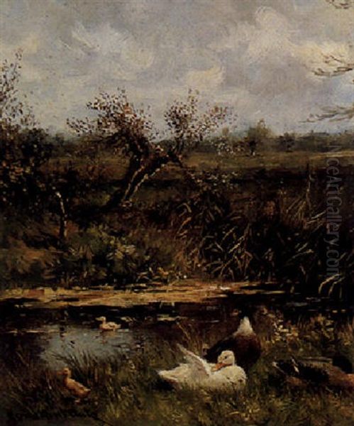 Ducks By A Pond - view 1