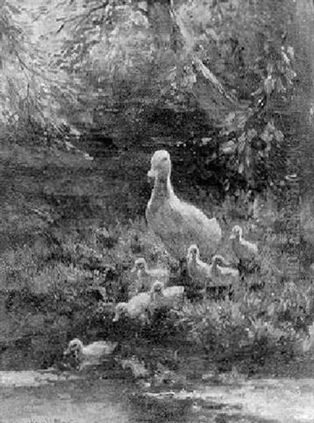 Ducks And Ducklings On A Riverbank - view 1