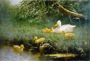 A Duck With Her Duckling On A Riverbank