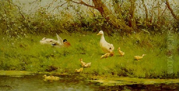Ducks And Ducklings On A Riverbank - view 1