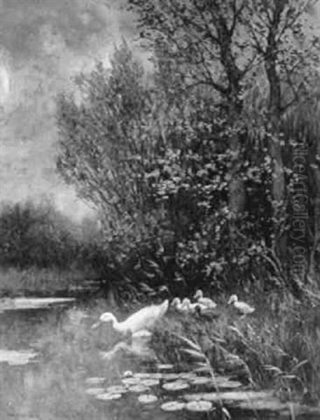 A Duck And Ducklings On A Riverbank - view 1