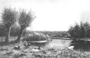 Ducks By A Pond