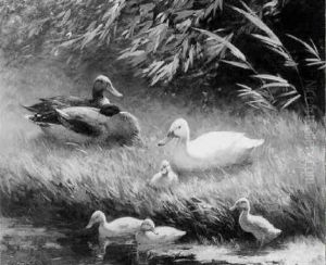 Duck With Ducklings On A Riverbank