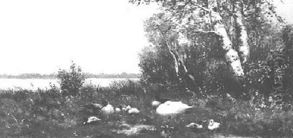 Ducks With Ducklings On A Riverbank - view 1