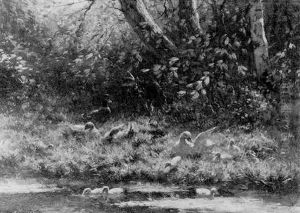 Ducks And Ducklings On A Sunlit Riverbank