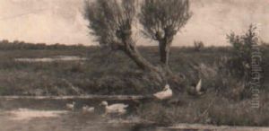 Eendenfamilie Bij De Waterkant