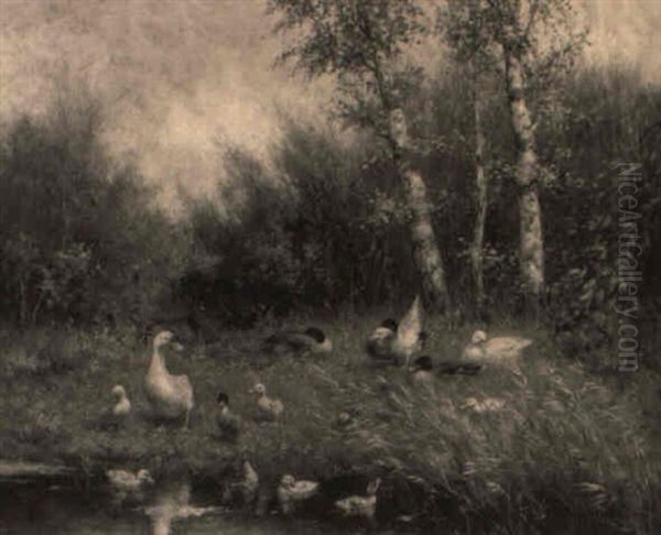 Ducks On A Riverbank - view 1