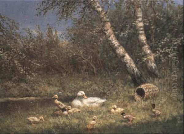 A Duck With Her Ducklings On A Riverbank - view 1