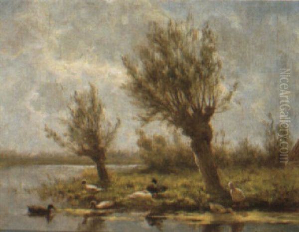 Ducks By A River Bank - view 1