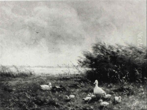 Ducks With Ducklings - view 1